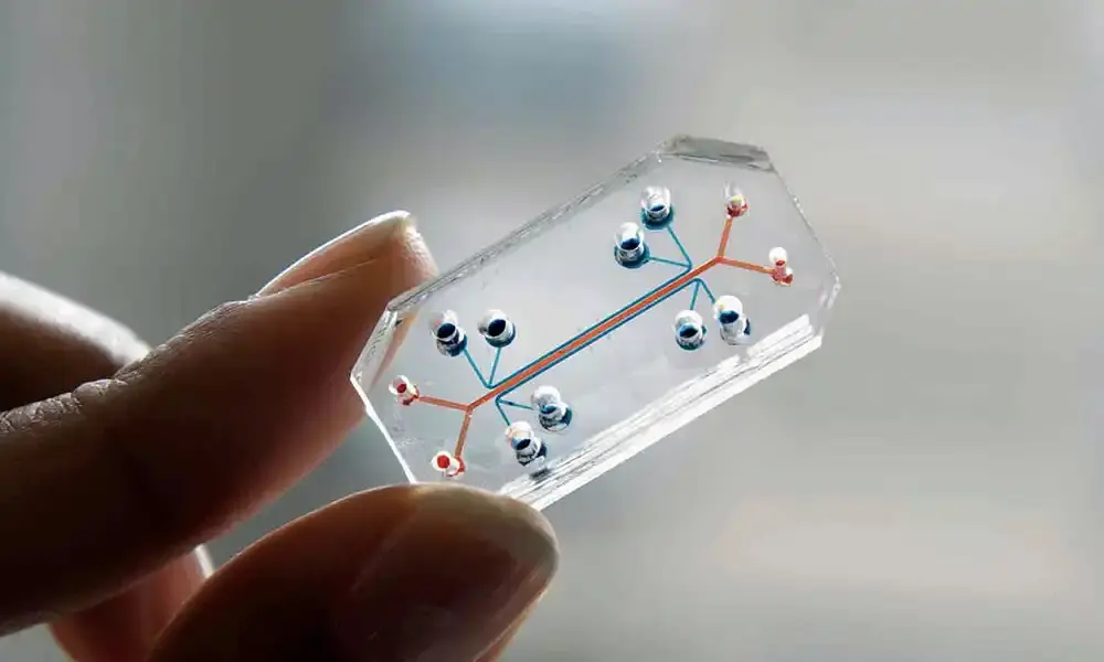Organ-on-a-Chip Systems