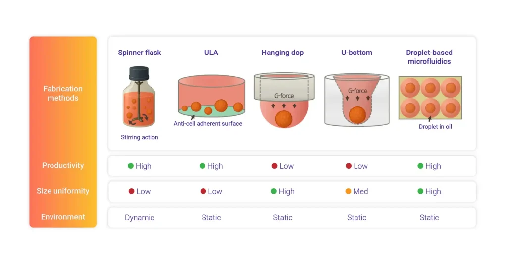 Methods for Scalable and Reproducible Spheroid Generation