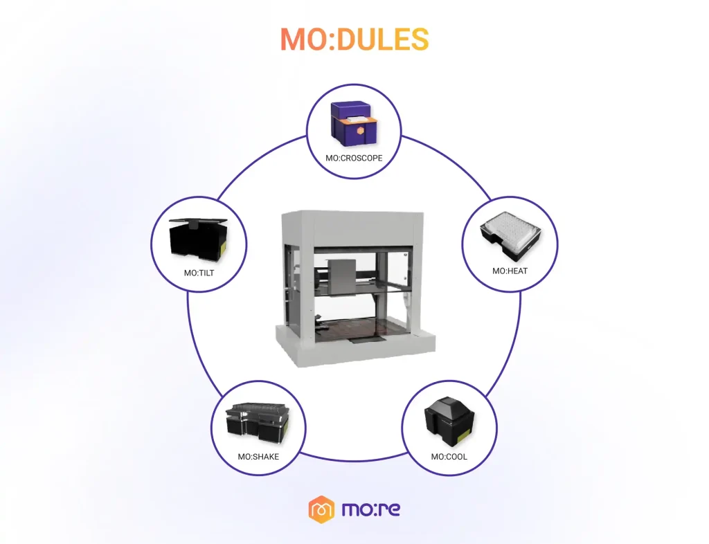 Quality Control and Traceability in High-Throughput Spheroid Workflows